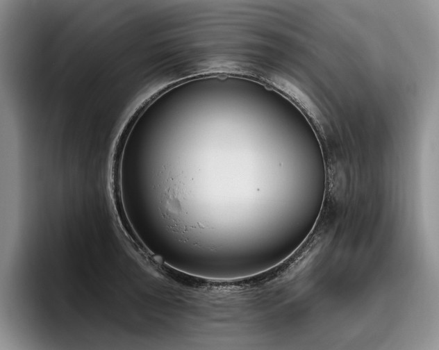 X0000096131043200801181109