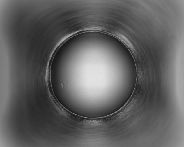 X0000096131044200801181109