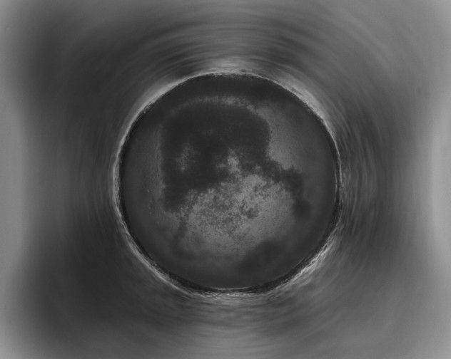 X0000096131045200801181109