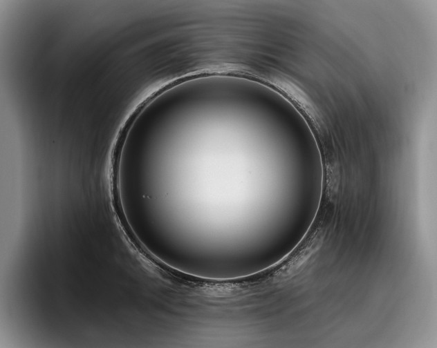 X0000096131046200801181109