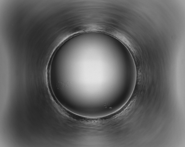 X0000096131047200801181109
