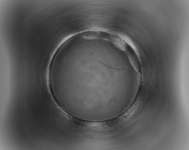 X0000096131048200801181109