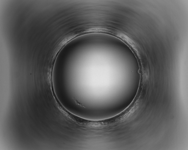 X0000096131049200801181109