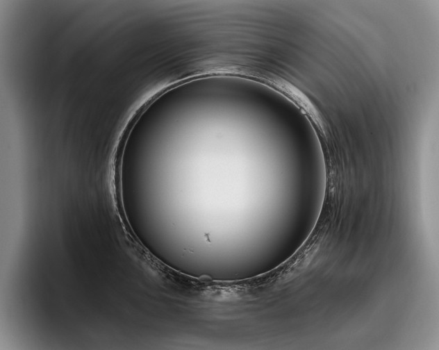 X0000096131051200801181109