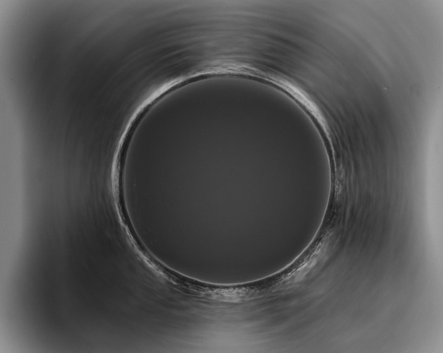 X0000096131053200801181109