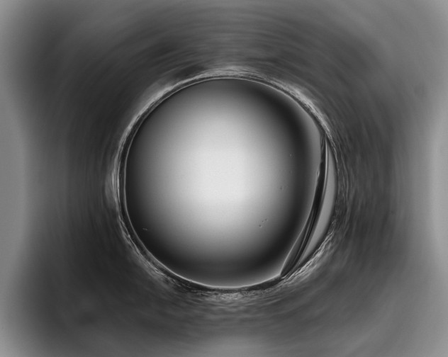 X0000096131054200801181109