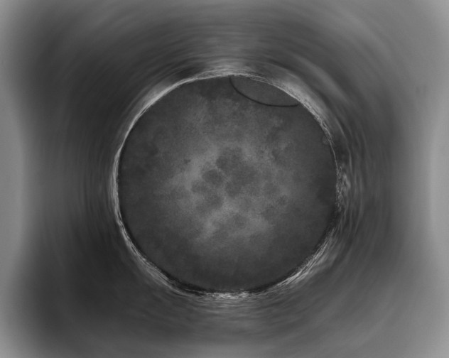 X0000096131055200801181109