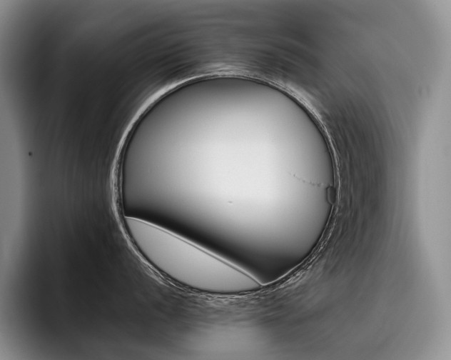 X0000096131056200801181109
