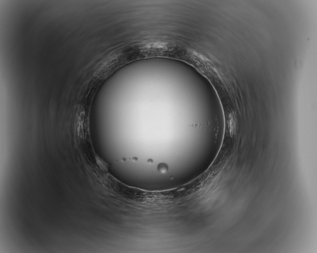 X0000096131059200801181108