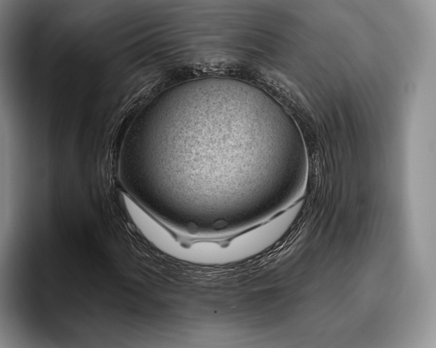 X0000096131060200801181108