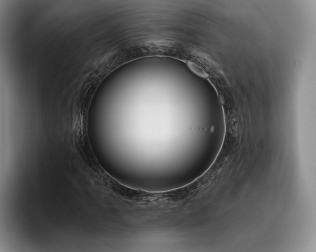 X0000096131061200801181108