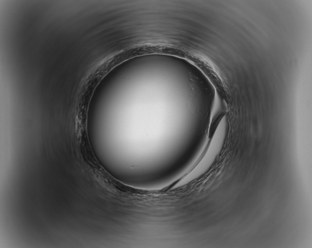 X0000096131064200801181108
