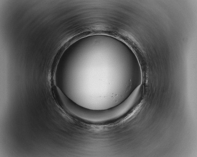 X0000096131065200801181108