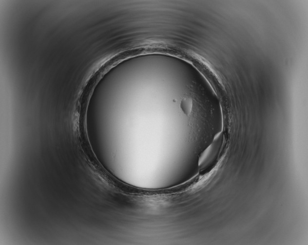 X0000096131066200801181108