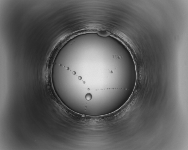 X0000096131067200801181108
