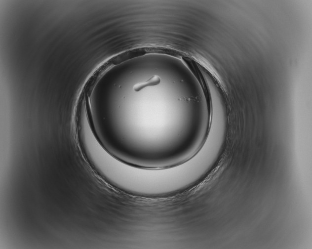 X0000096131068200801181108