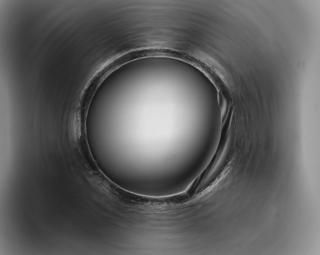 X0000096131069200801181108