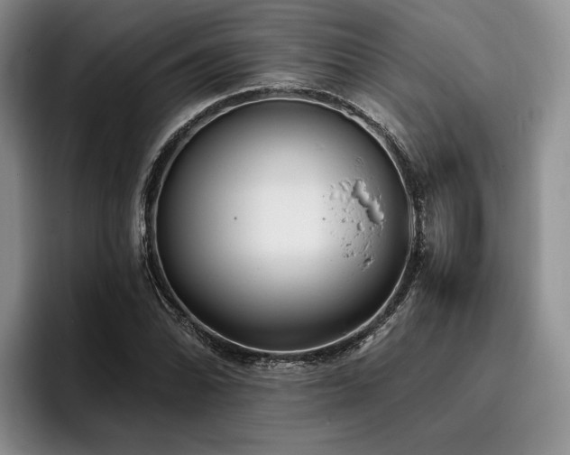 X0000096131070200801181108
