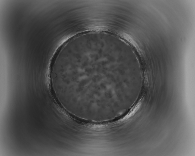 X0000096131071200801181108