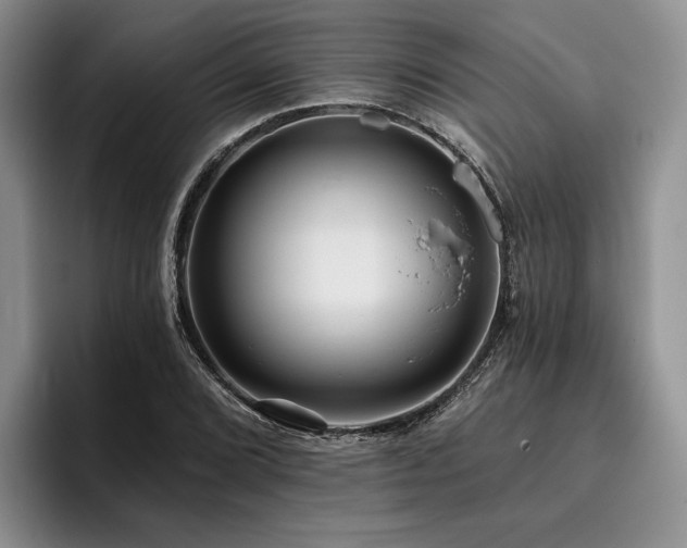 X0000096131072200801181108