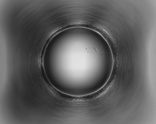 X0000096131073200801181108