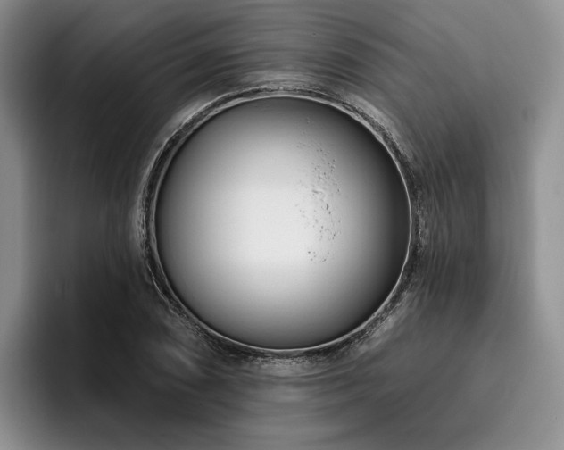 X0000096131074200801181108