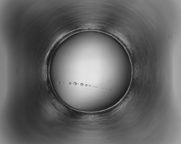X0000096131075200801181108