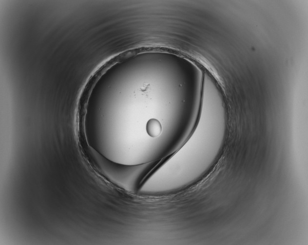 X0000096131076200801181108
