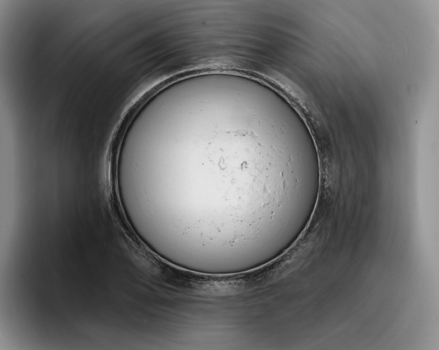 X0000096131078200801181108