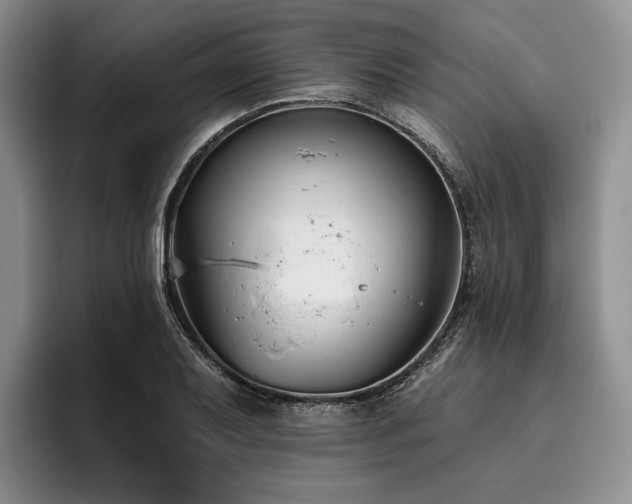 X0000096131079200801181108
