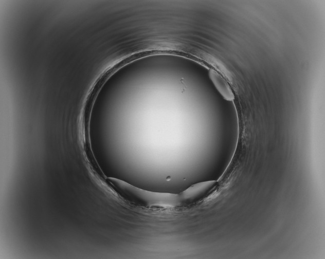 X0000096131080200801181108