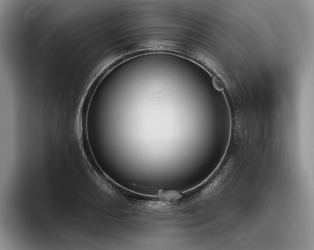 X0000096131082200801181108