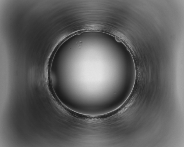 X0000096131083200801181108