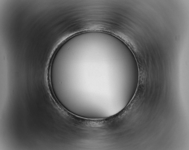 X0000096131086200801181108