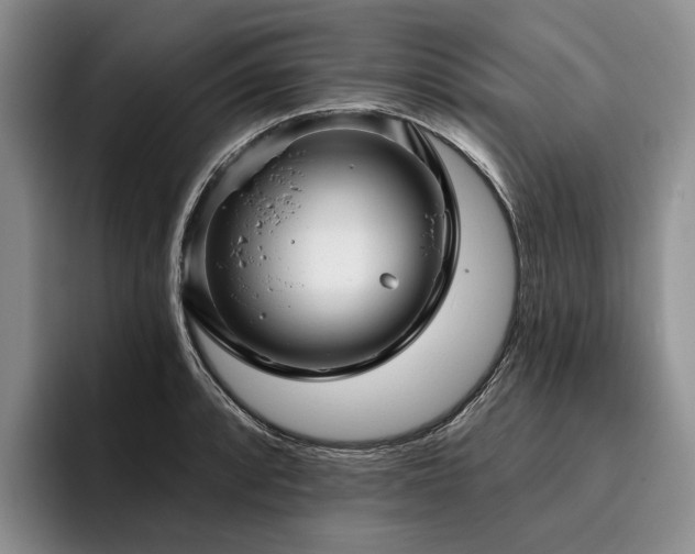 X0000096131088200801181108