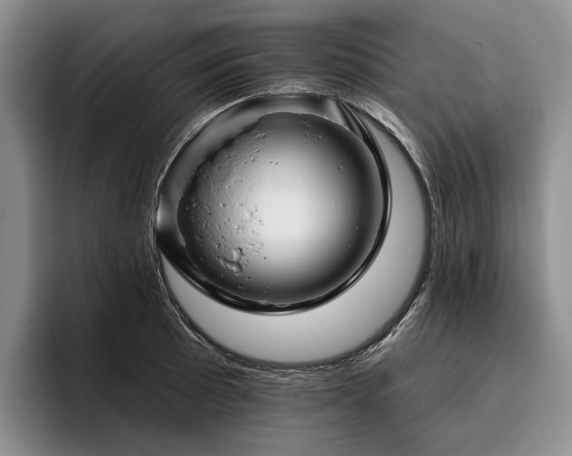 X0000096131089200801181108