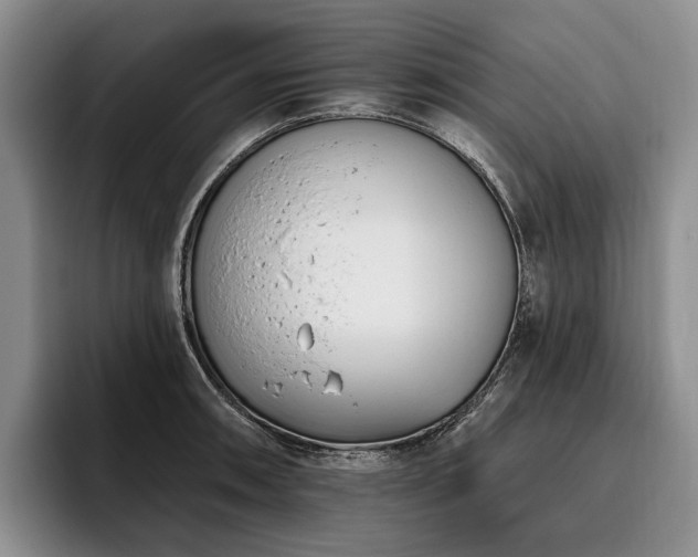 X0000096131090200801181108