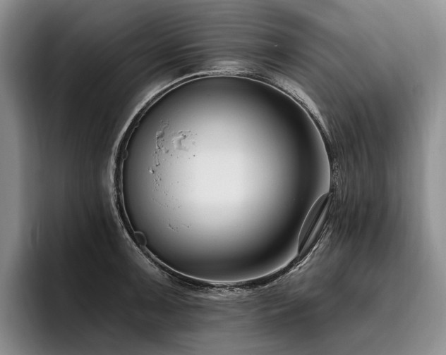 X0000096131091200801181108