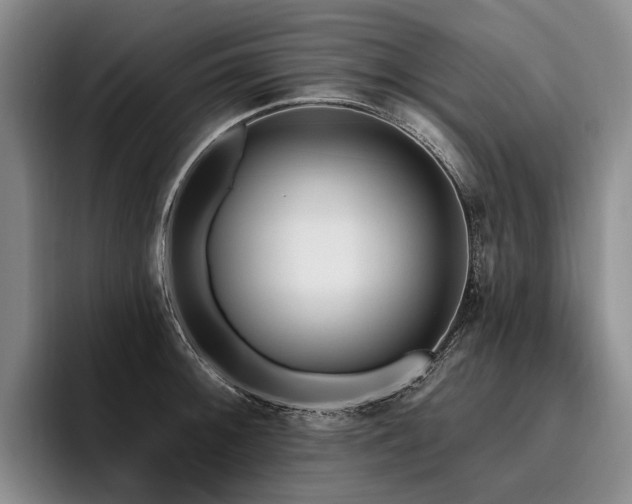 X0000096131092200801181108