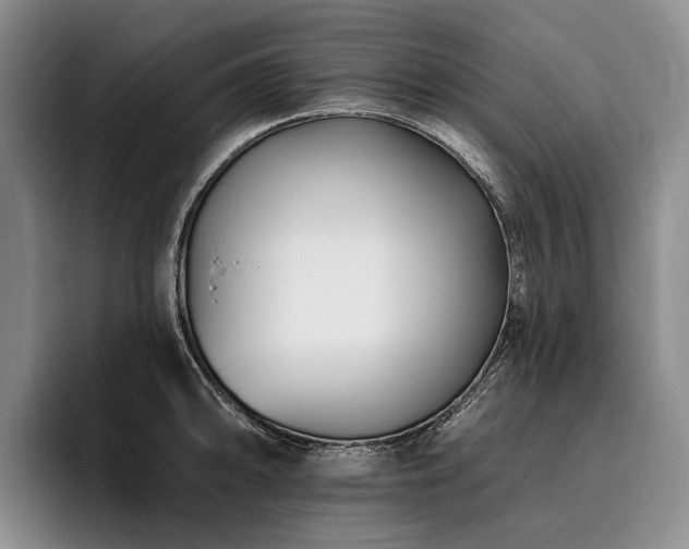 X0000096131094200801181108