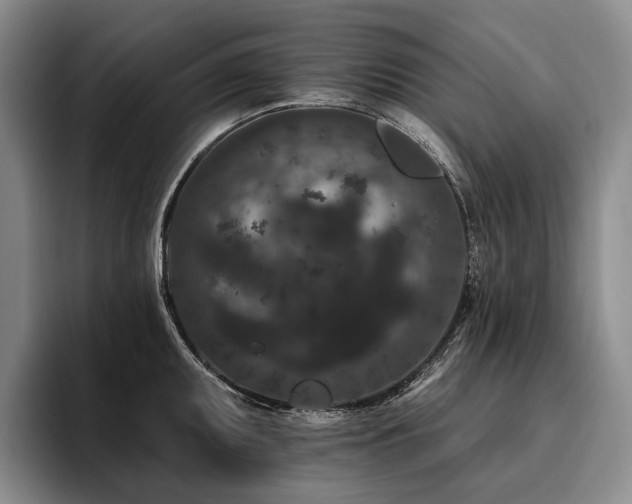X0000096131095200801181108