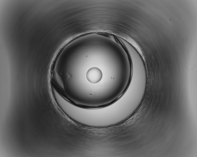 X0000096131096200801181108