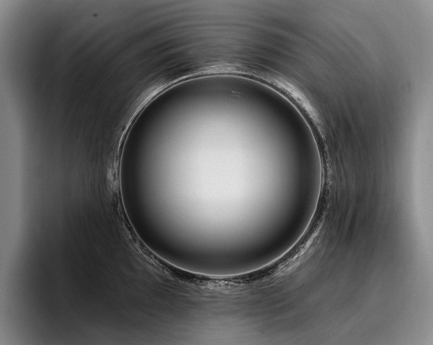 X0000096131097200801181108