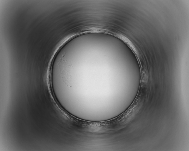 X0000096131098200801181108