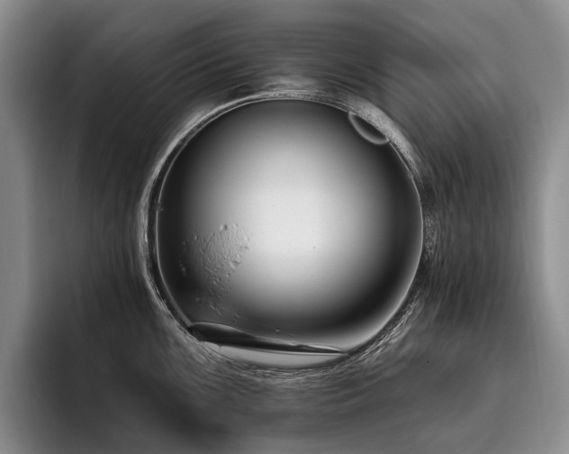 X0000096131099200801181108