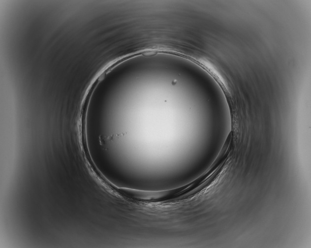 X0000096131100200801181108