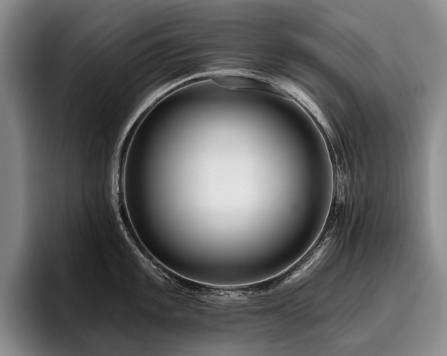 X0000096131101200801181108
