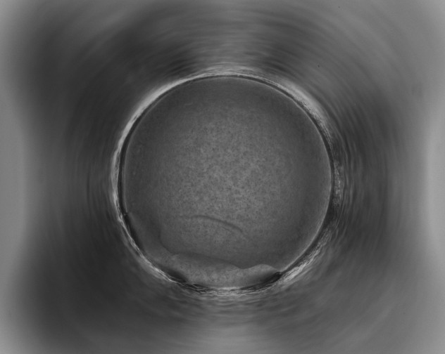 X0000096131102200801181108