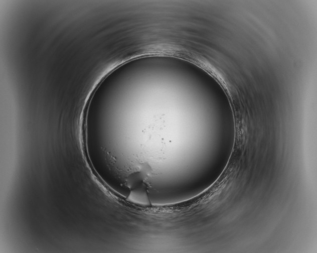 X0000096131103200801181108