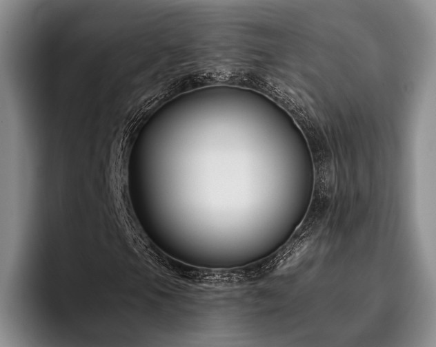 X0000096131105200801181107